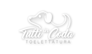 Tutti in Coda