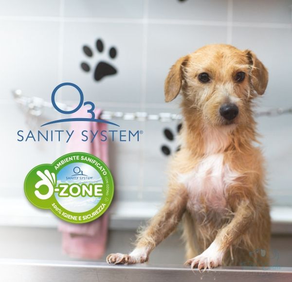 Lavaggi con acqua ozonizzata - toelettatura cani Palermo